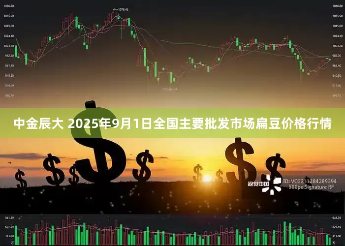 中金辰大 2025年9月1日全国主要批发市场扁豆价格行情