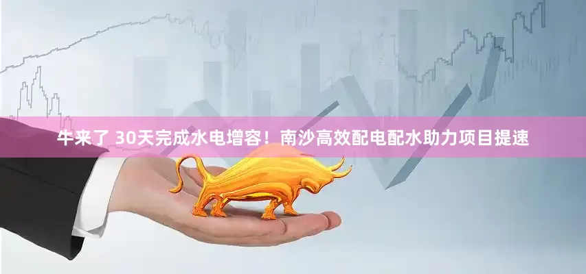 牛来了 30天完成水电增容！南沙高效配电配水助力项目提速