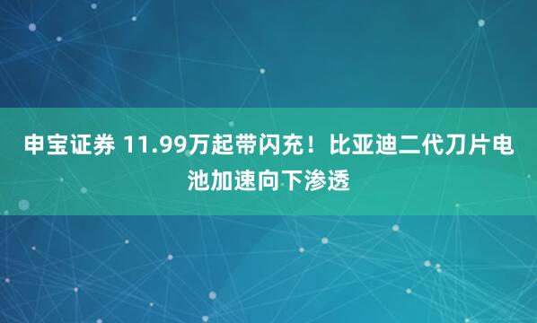 申宝证券 11.99万起带闪充！比亚迪二代刀片电池加速向下渗透